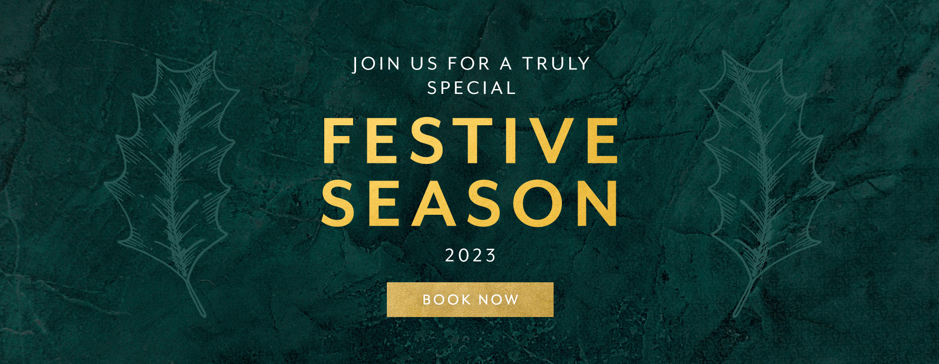 Christmas 2023 at Aston Clinton