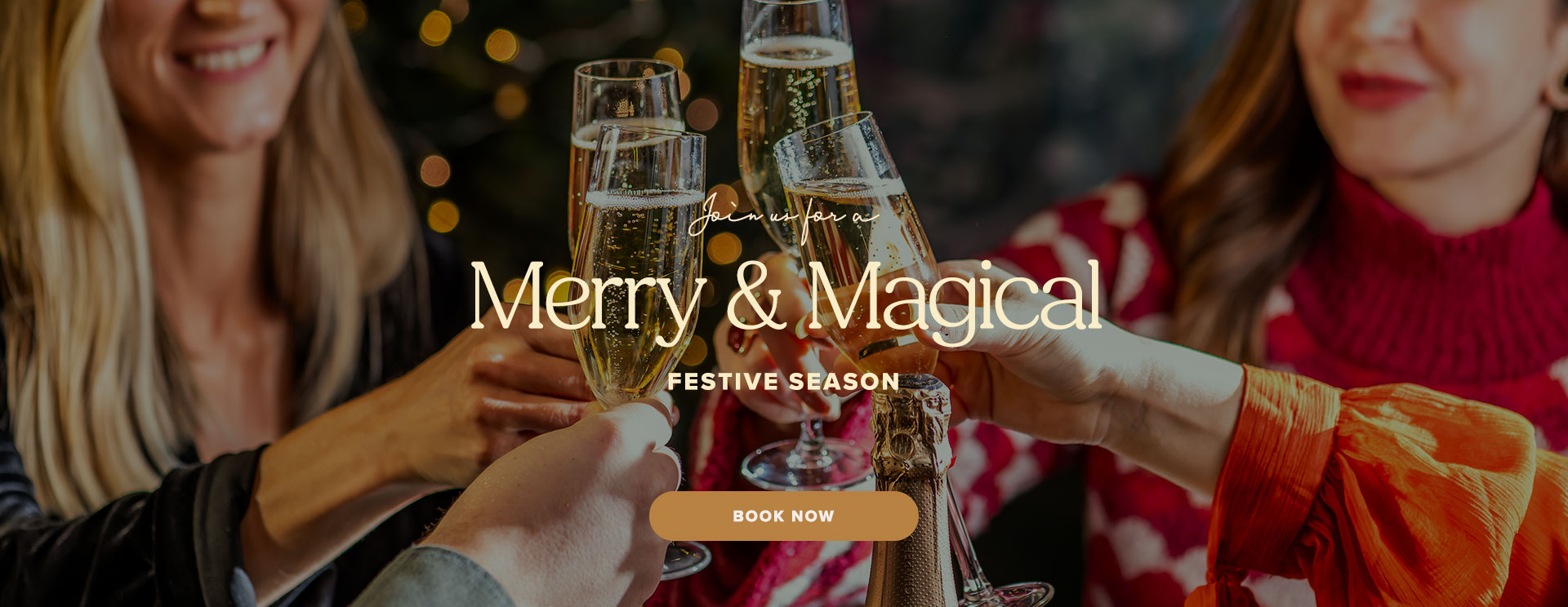 Christmas 2025 at Aston Clinton